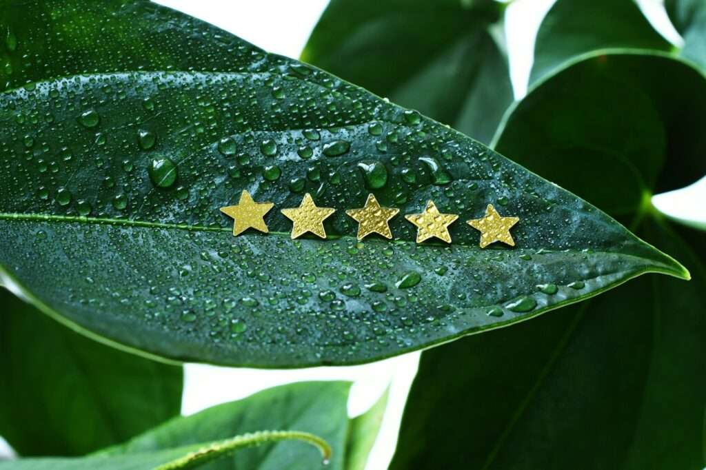 Suchmaschinenoptimierung Hannover - Ein großes grünes Blatt, das mit Wassertropfen bedeckt ist, weist in der Mitte fünf kleine goldene Sterne auf, die in einer geraden Reihe angeordnet sind und erstklassige Bewertungen symbolisieren. Im Hintergrund sind teilweise andere grüne Blätter sichtbar, die der Szene Tiefe verleihen. Local SEO Agentur Hannover.