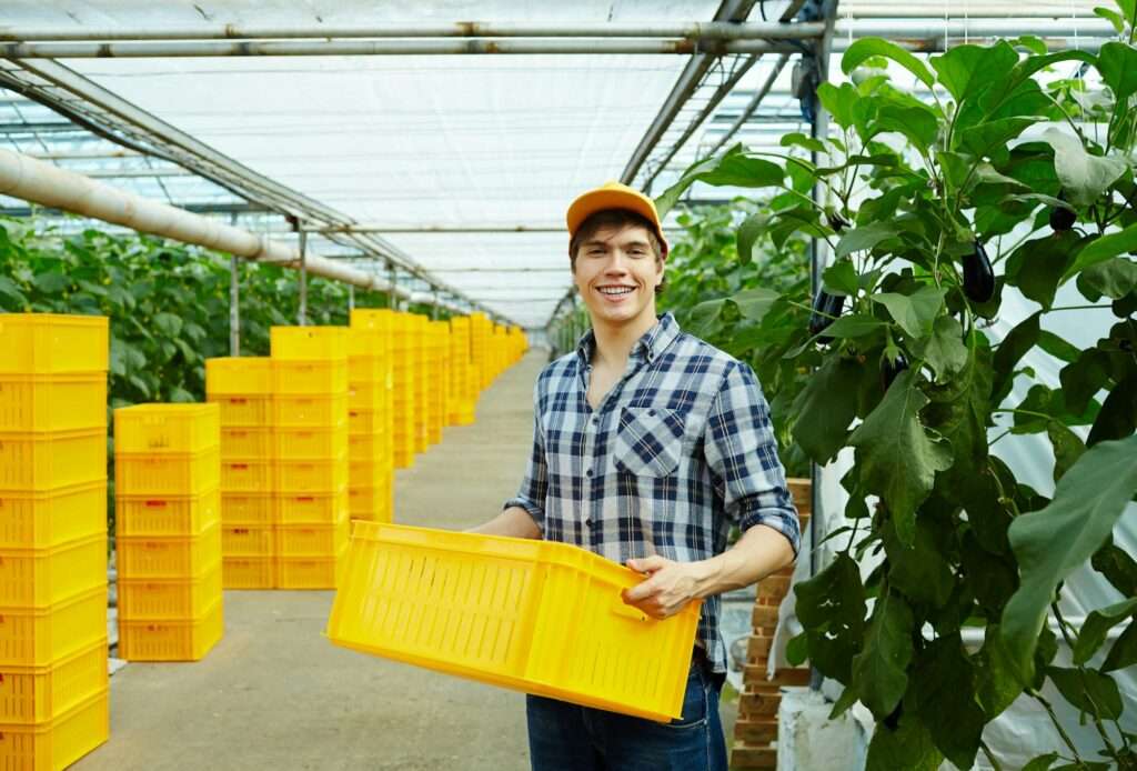 Market gardening