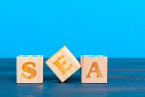 Was versteht man unter Google SEA?